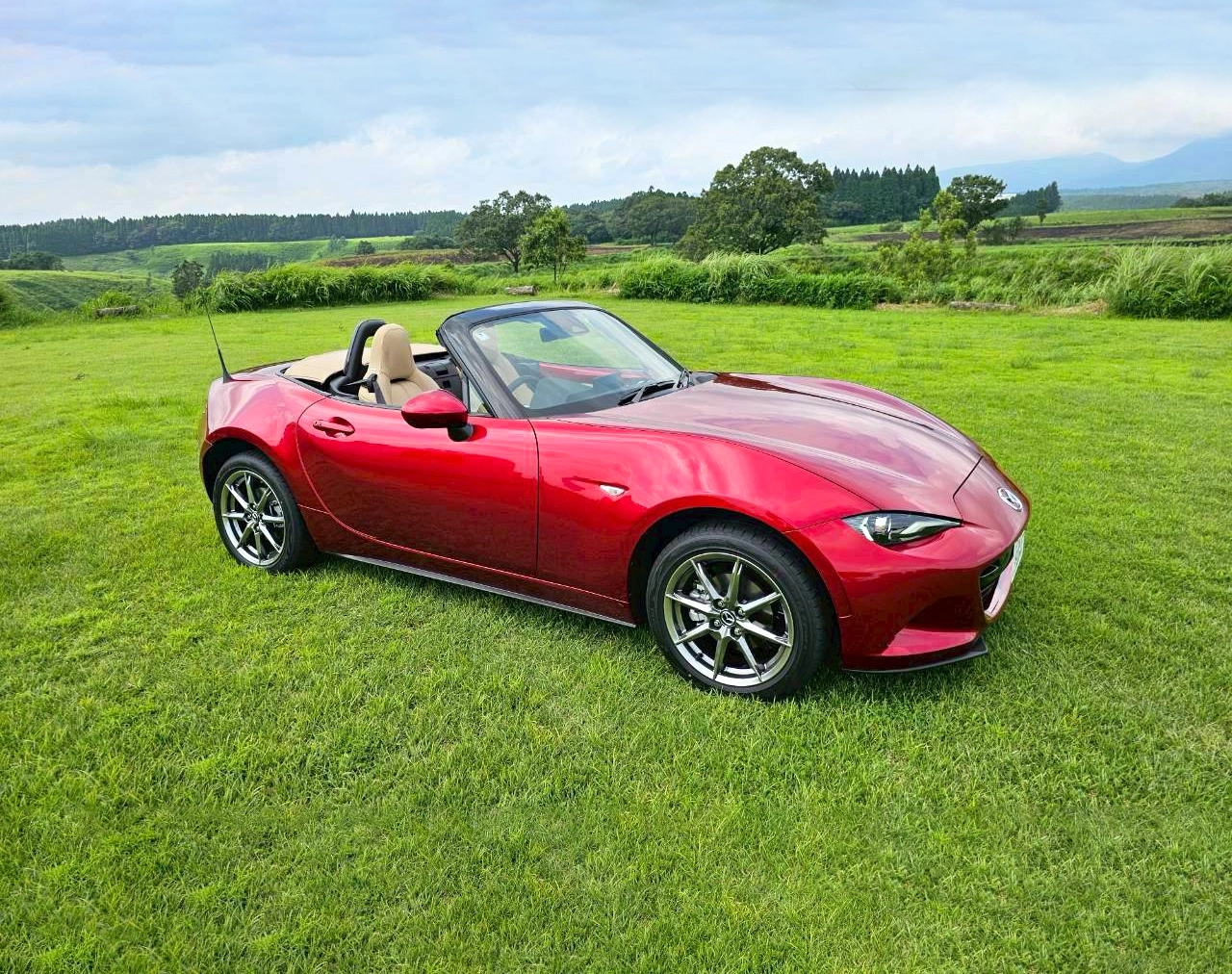 ROADSTER/オートマ