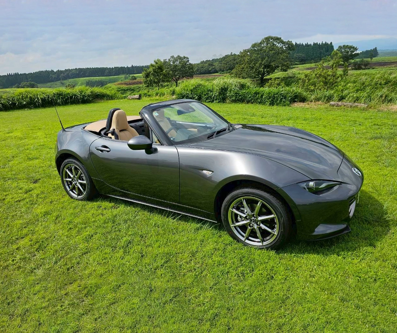 ROADSTER/オートマ